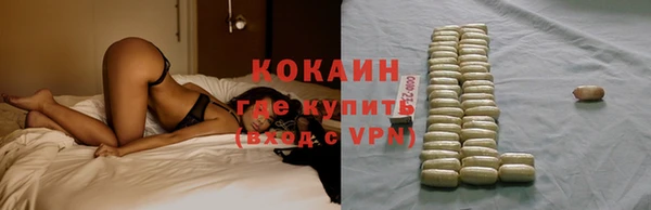 ECSTASY Каменка