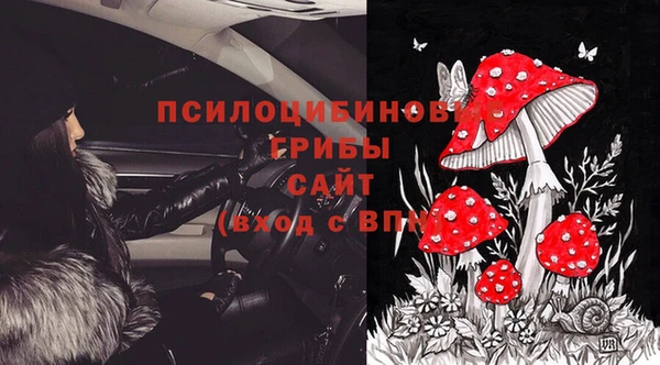 каннабис Каменногорск