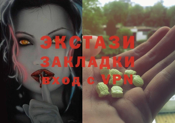 ECSTASY Каменка